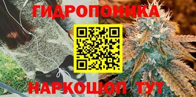 амф Тулун